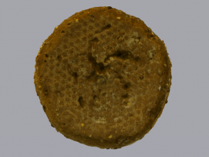 Brown Bread 3Dモデル