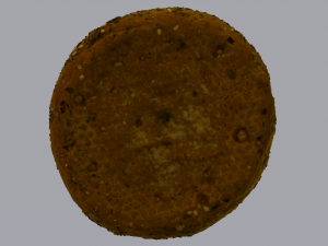 Brown Bread 3D 模型