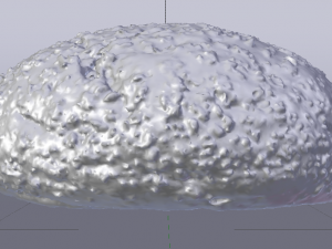 Brown Bread 3D 模型