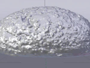 Brown Bread 3D Model