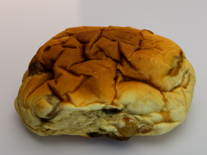 Raisin Bread 3D Model