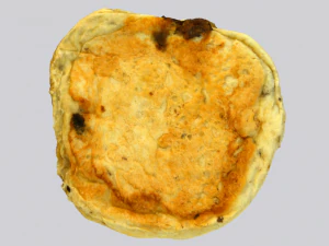 건포도빵 3D 모델