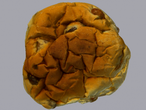 Raisin Bread 3D Model