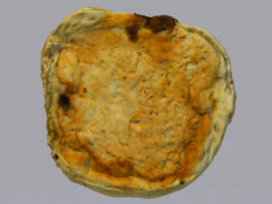 건포도빵 3D 모델