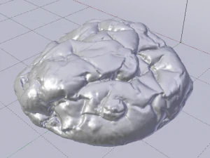 건포도빵 3D 모델