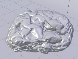 건포도빵 3D 모델