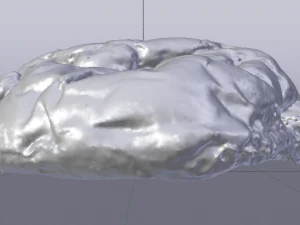 건포도빵 3D 모델