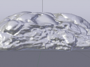 Raisin Bread 3D Model