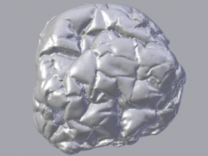 Raisin Bread 3D Model