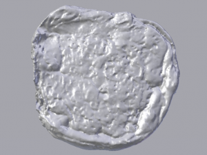 Raisin Bread 3D Model
