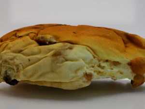 Raisin Bread 3D Model