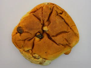 Raisin Bread 3D Model