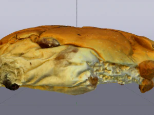 Raisin Bread 3D Model