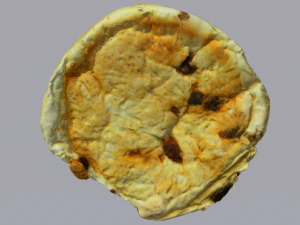 Raisin Bread 3D Model
