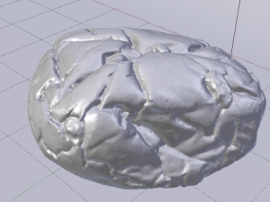 Raisin Bread 3D 模型