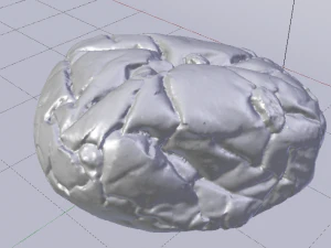 Raisin Bread 3D Model