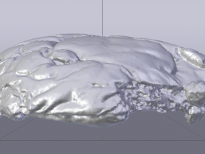 Raisin Bread 3D 模型