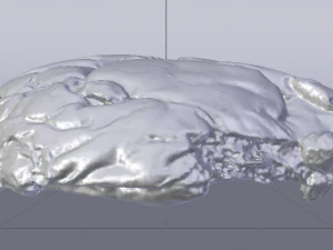 Raisin Bread 3D Model