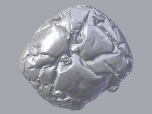 Raisin Bread 3D 模型