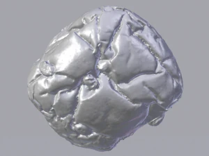 Raisin Bread 3D Model