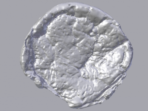 Raisin Bread 3D 模型