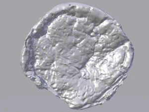 Raisin Bread 3D Model