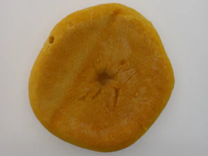 Pain blanc Modèle 3D