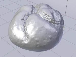 Pain blanc Modèle 3D