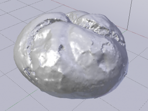 White Bread Modèle 3D