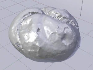 Pain blanc Modèle 3D