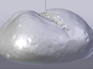 Pain blanc Modèle 3D