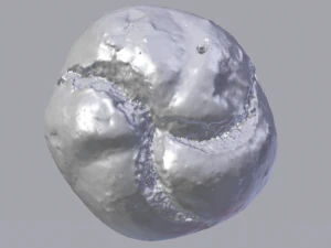 Pain blanc Modèle 3D