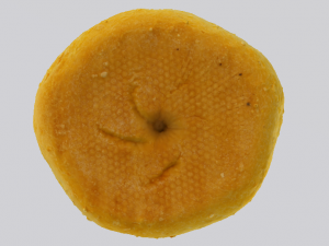 White Bread 3D Model