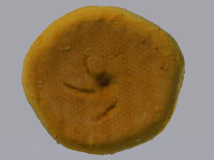 White Bread 3D Model