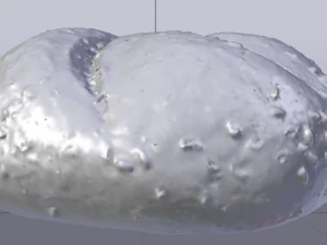 White Bread 3D Model