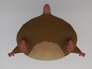 Hamster 3D Model