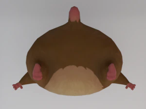 Hamster 3D Model