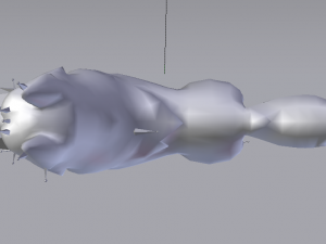 3D Wolf 3Dモデル