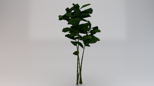 Bamboo Trees Modèle 3D .c4d .max .obj .3ds .fbx .stl .blend 