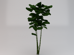 Bamboo Trees Modèle 3D