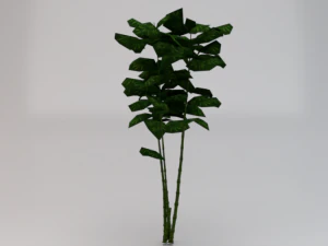 Bamboo Trees 3D Model