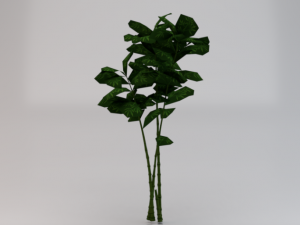 Bamboo Trees Modèle 3D