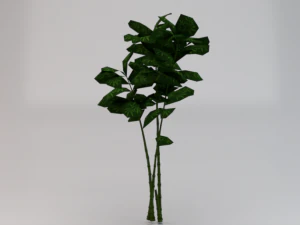 Bamboo Trees 3D Model