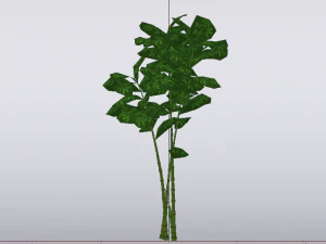 Bamboo Trees 3D Model