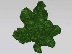 Bamboo Trees 3D Model