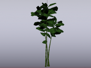 Bamboo Trees Modèle 3D