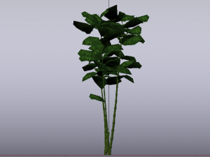 Bamboo Trees Modèle 3D