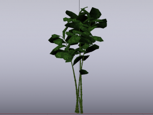 Bamboo Trees Modèle 3D