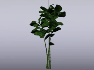 Bamboo Trees 3D Model