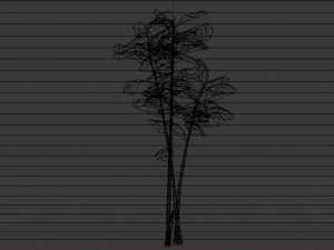 Bamboo Trees Modèle 3D